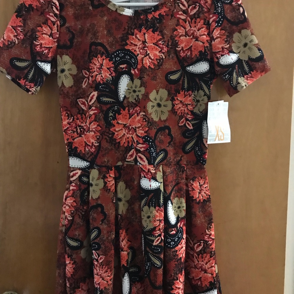 BNWT xs LuLaRoe amelia! Perfect Christmas dress!